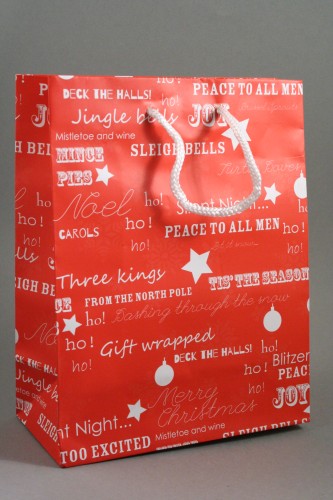 Red Christmas Gift Bag with White Festive Christmas Writing and White Cord Handles. . Size Approx 23cm x 18cm x 9cm.
